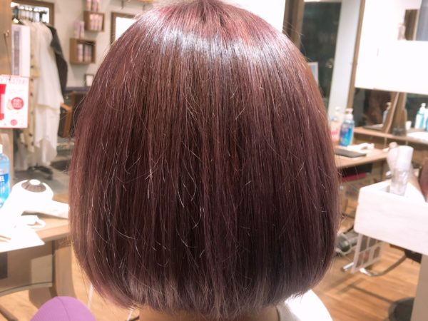 バイオレットカラー