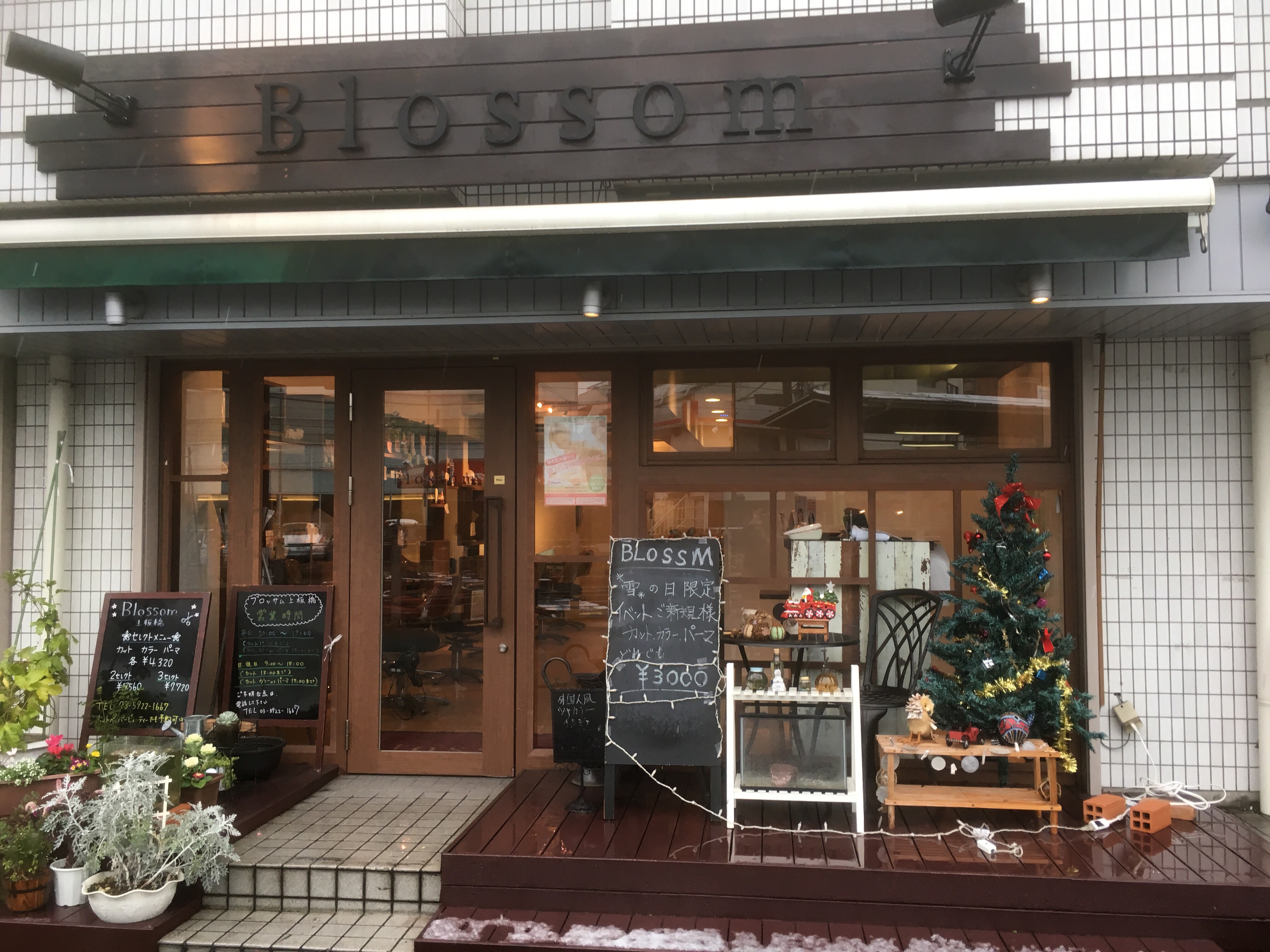 本日限定 11月24日クーポン Blossom 上板橋店